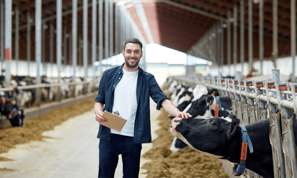 A man with his hand on a cow's face