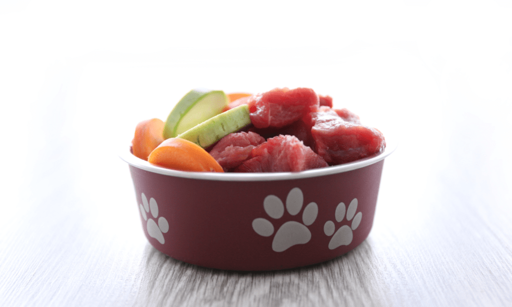 A bowl of raw food for a dog