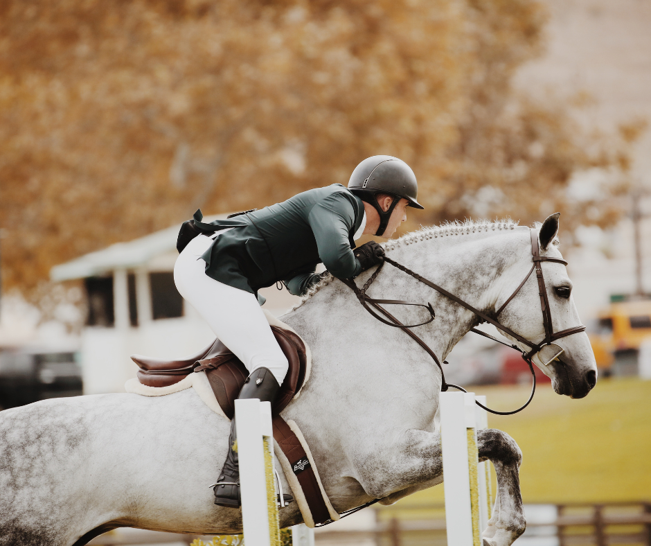 Woman riding an equestrian horse