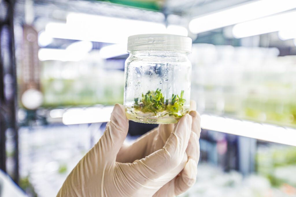 A researcher holding a glass bottle of plant culture